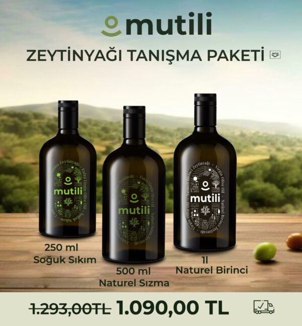 a1.PAKET-1B-KI
