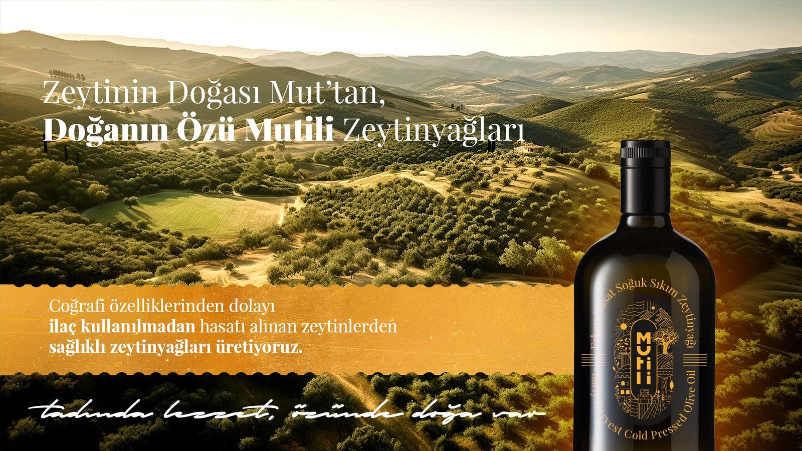 mutili web slider
