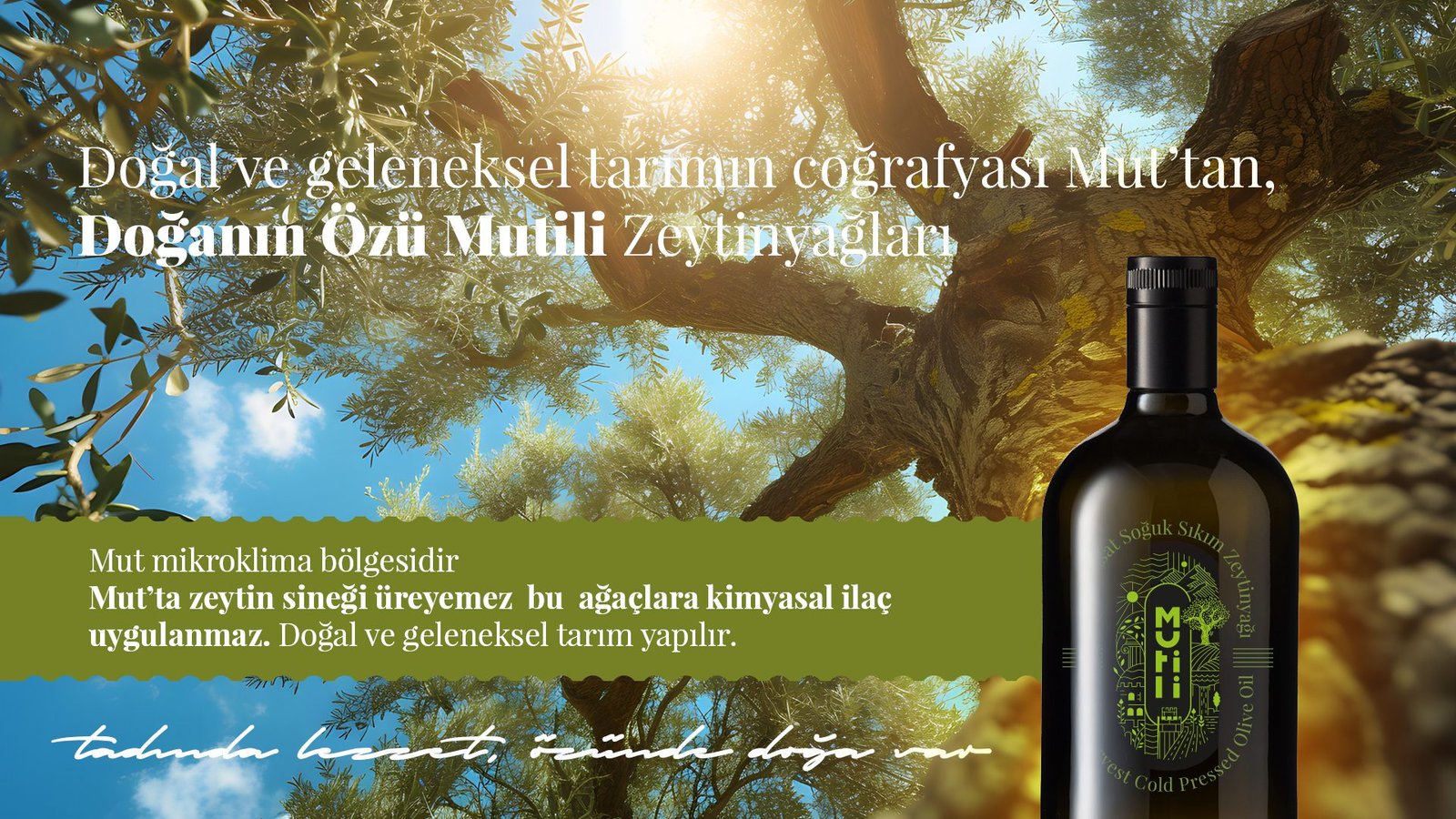 mutili web slider 2