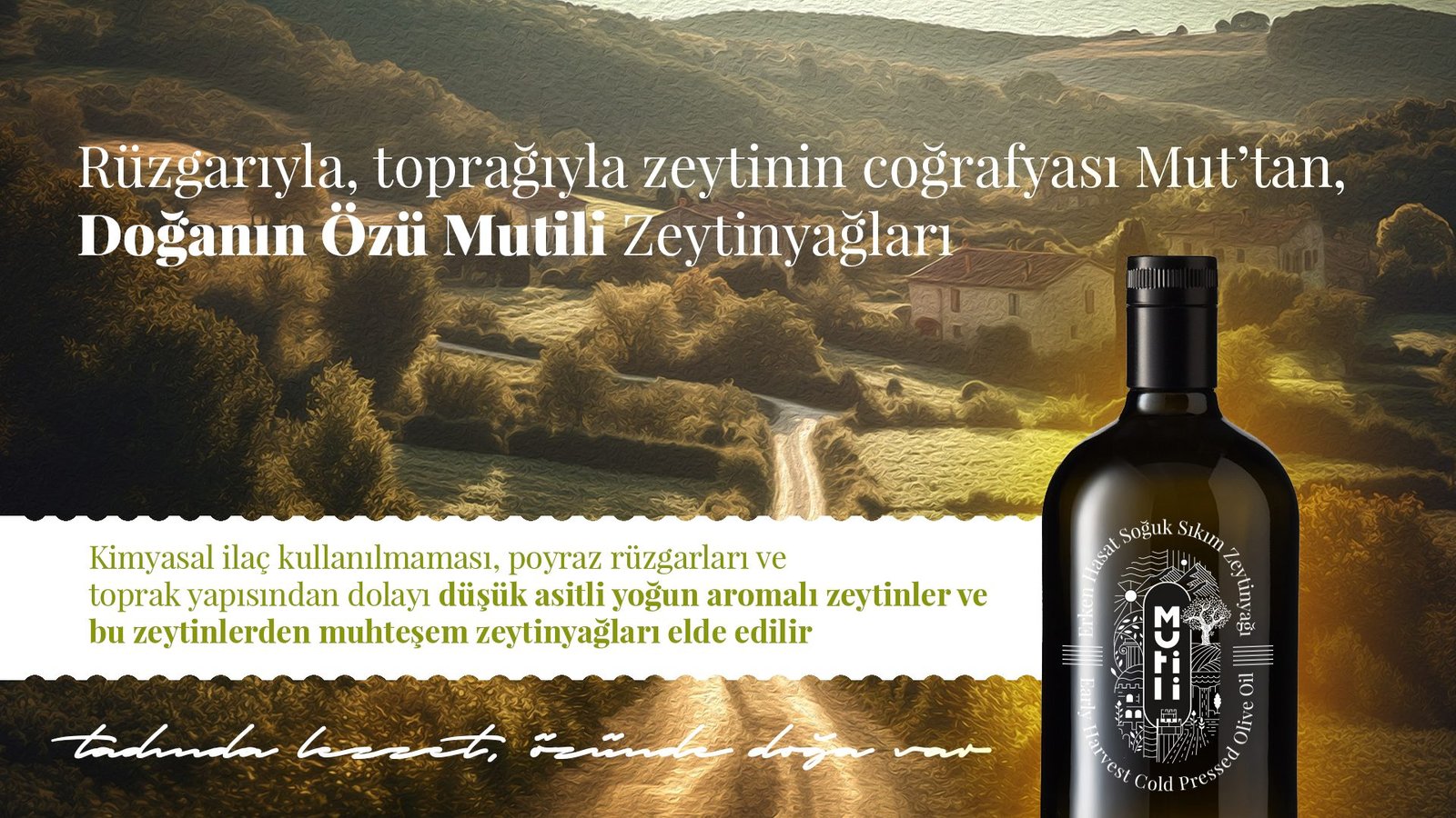 mutili web slider 3
